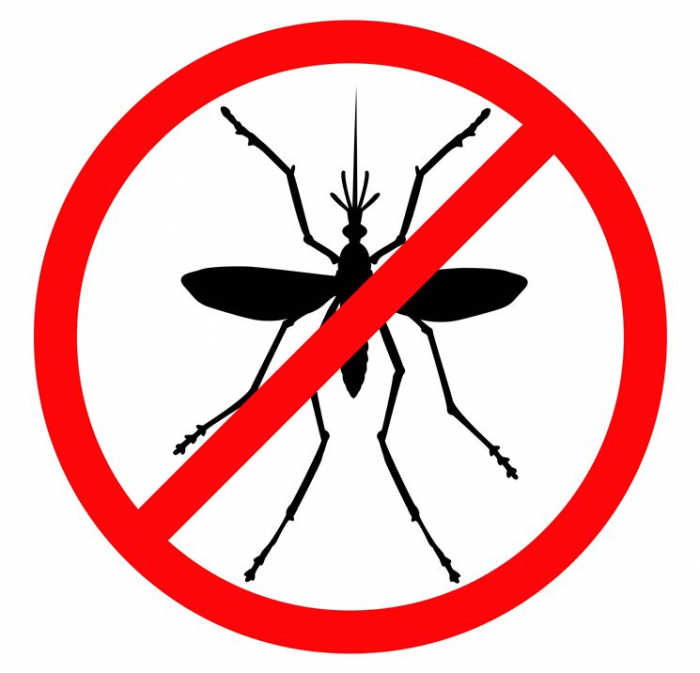 Május 13-án földi szúnyoggyérítés lesz Abonyban!