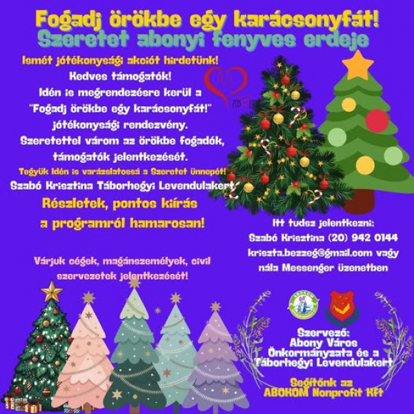 Fogadj örökbe egy karácsonyfát!