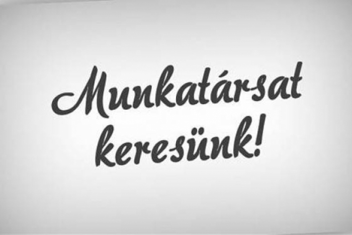 Munkalahetőség! ‼️‼️‼️