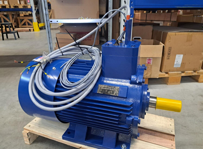 A robbanásbiztos villanymotorok fontossága az ipar biztonságos működésében