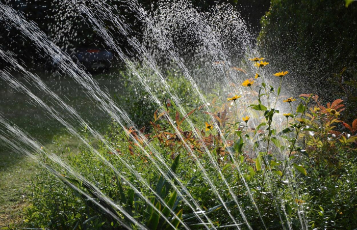 Kertépítés: az álomkert megvalósítása