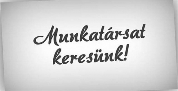 Munkalehetőség