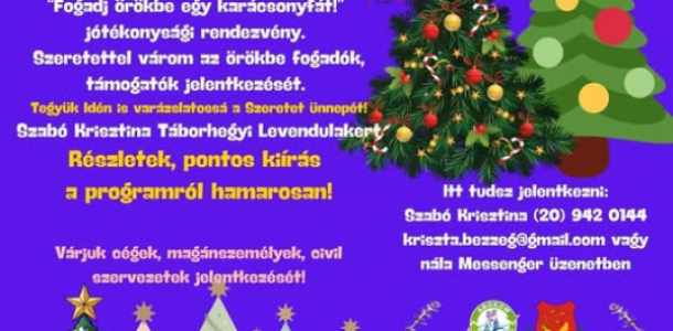 Fogadj örökbe egy karácsonyfát!