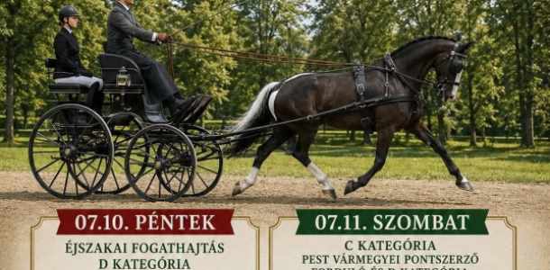 Fogathajtó verseny