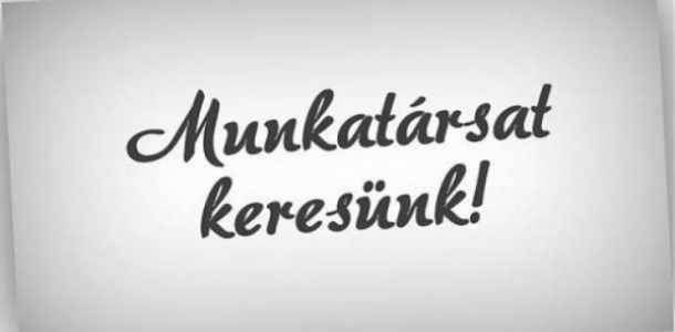 Munkalehetőség
