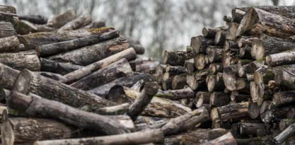 LAKOSSÁGI FELHÍVÁS- Állami tulajdonú tűzifa igénylése